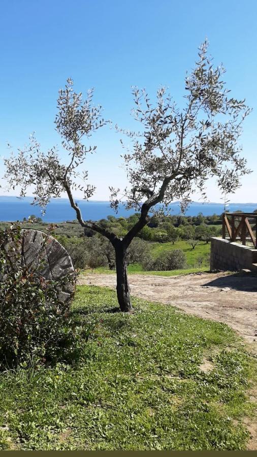 Casa Laggiu Holiday home Gradoli