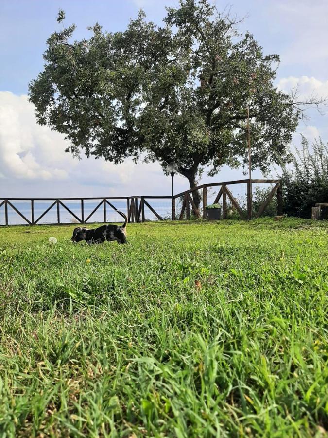 Holiday home Casa Laggiu *
