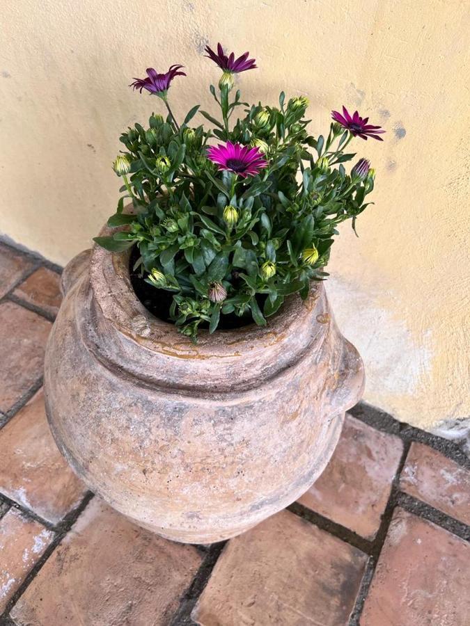 Holiday home Casa Laggiu